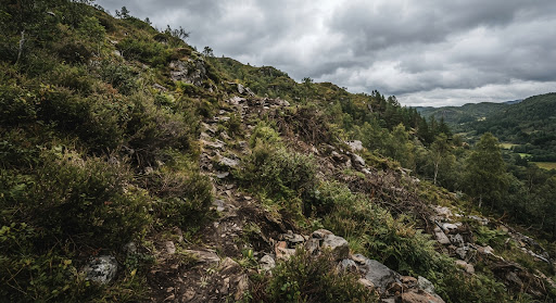 Skalnat, neurejen teren pred izkopom